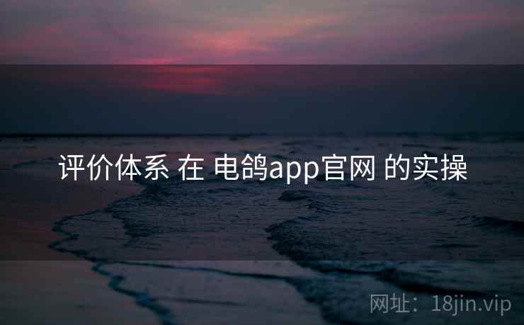评价体系 在 电鸽app官网 的实操
