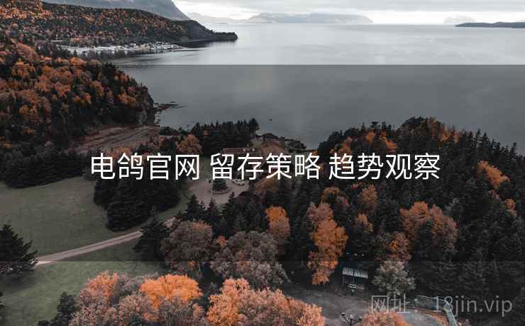 电鸽官网 留存策略 趋势观察